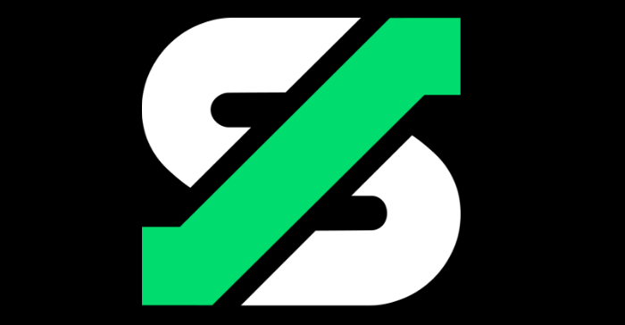Logo Skalski Growth