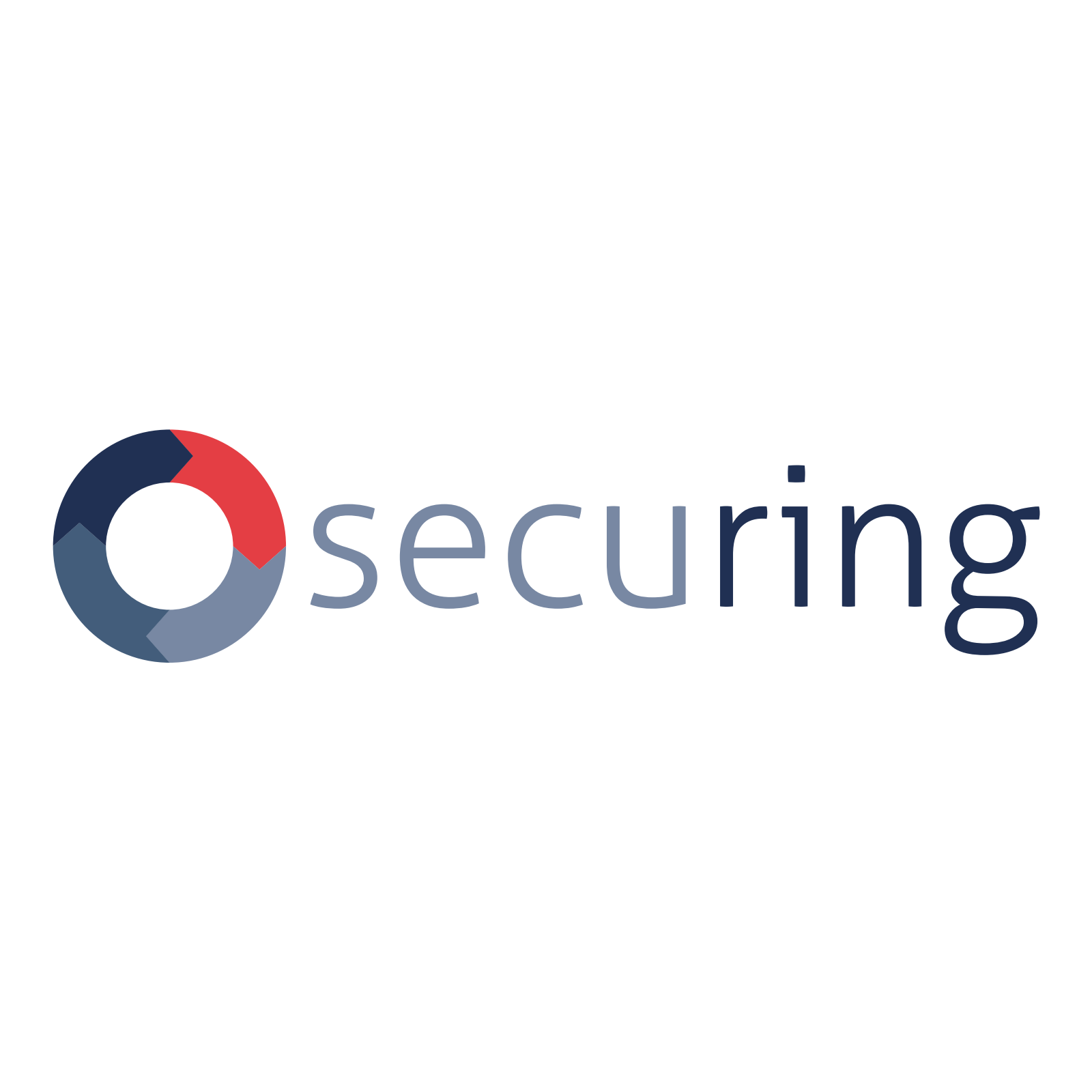Logo Securing